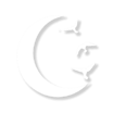 Moon and birds v2